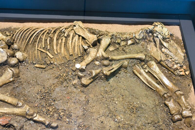 Datei:AbbildungLimesausstellung2015 ZentrumStadtgeschichte UlliRoessle.jpg